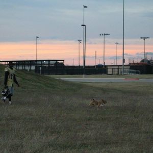 Meet your Posher, Christian